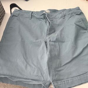 Loft women’s  Blue Shorts
